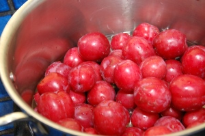Bring plums and water to a boil.